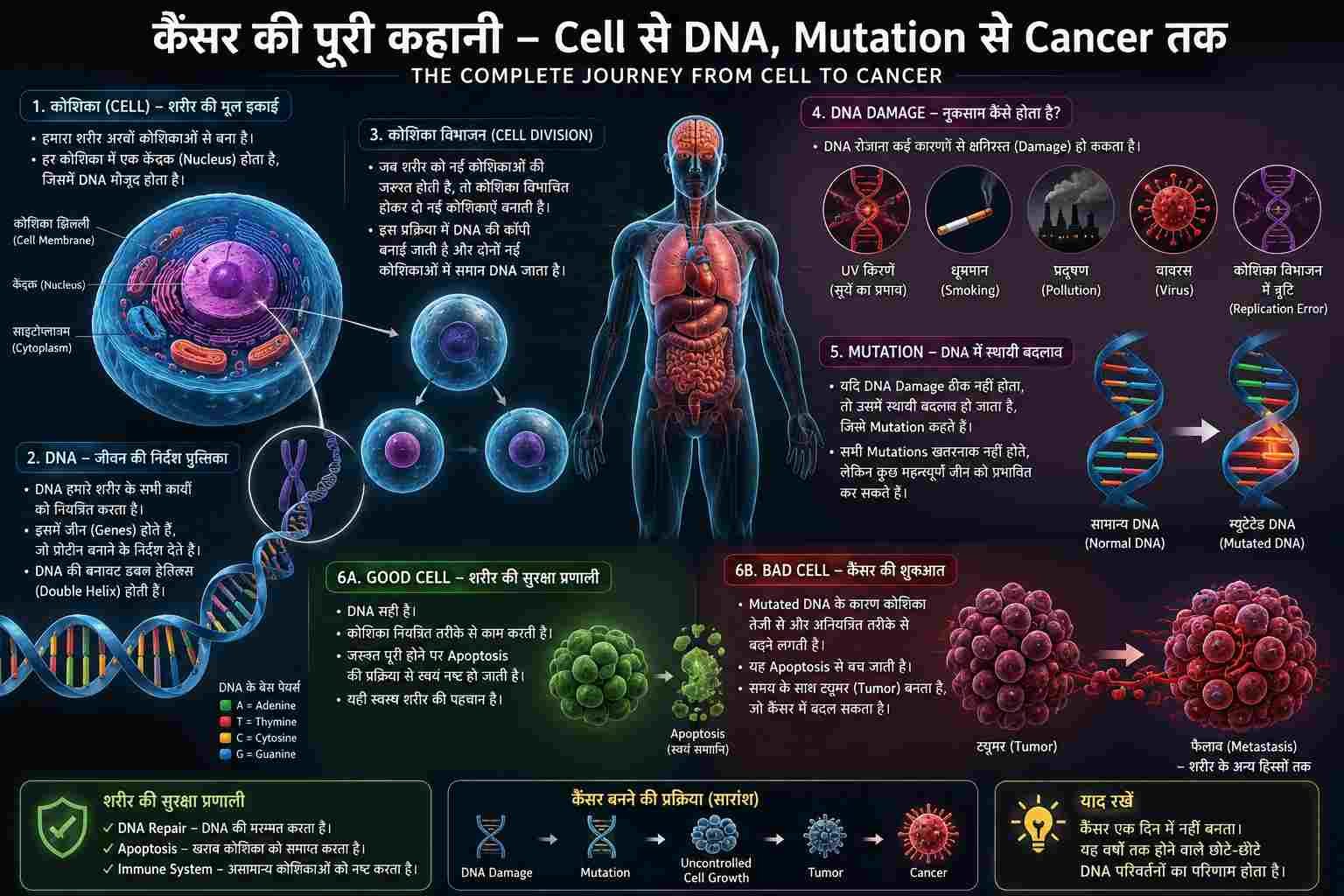 Human body showing healthy cells, DNA structure, DNA mutation, cancer cell formation, tumor growth and cancer development explained through an educational infographic in Hindi.